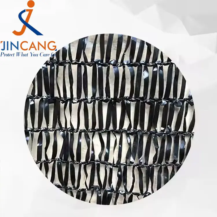 سورج کا سایہ نیٹ