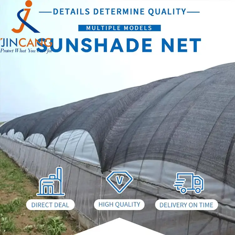 سورج کا سایہ نیٹ