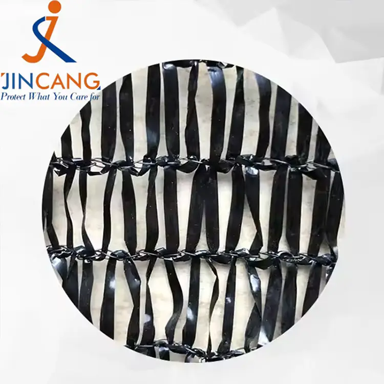 سورج کا سایہ نیٹ